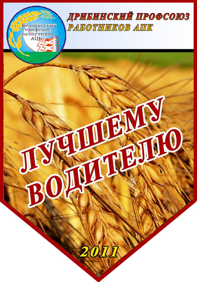 лучшему водителюновый.jpg