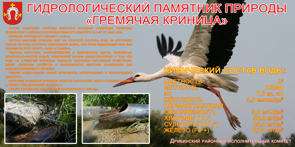 Криница копия.jpg